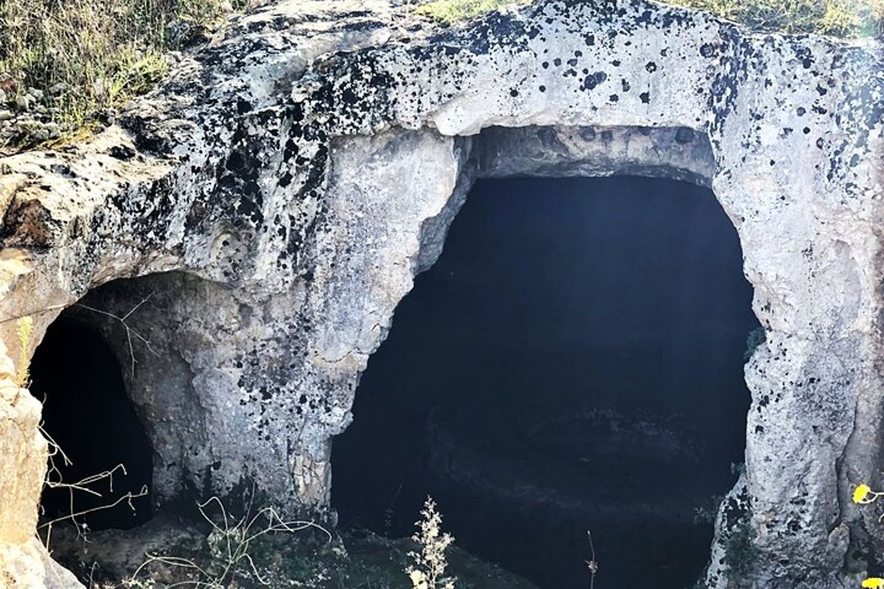 Tour dell'olio d'oliva ed esperienza di degustazione a Ostuni — 6