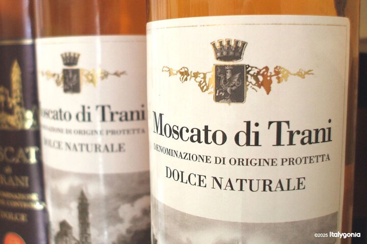 Tour privato: tour a piedi di Trani con degustazione di vini Moscato — 4