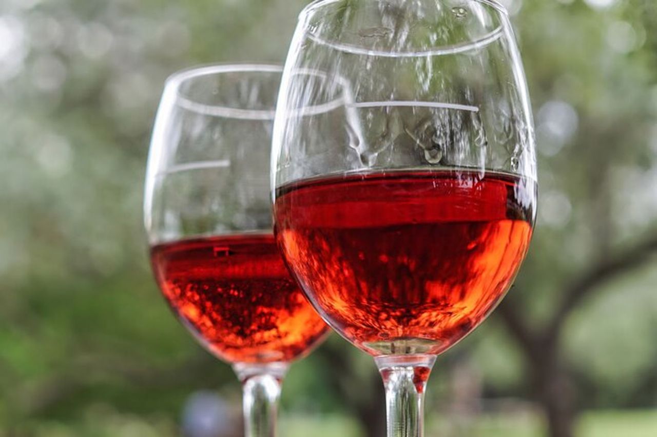 TRANI Wine Tours : Sapori di Puglia — 5