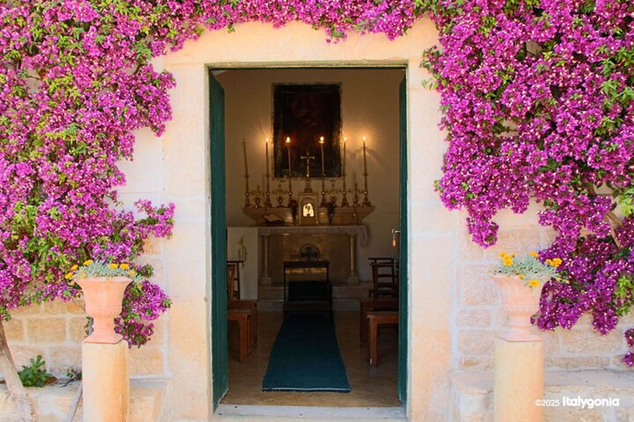 TRANI Wine Tours : Sapori di Puglia — 4