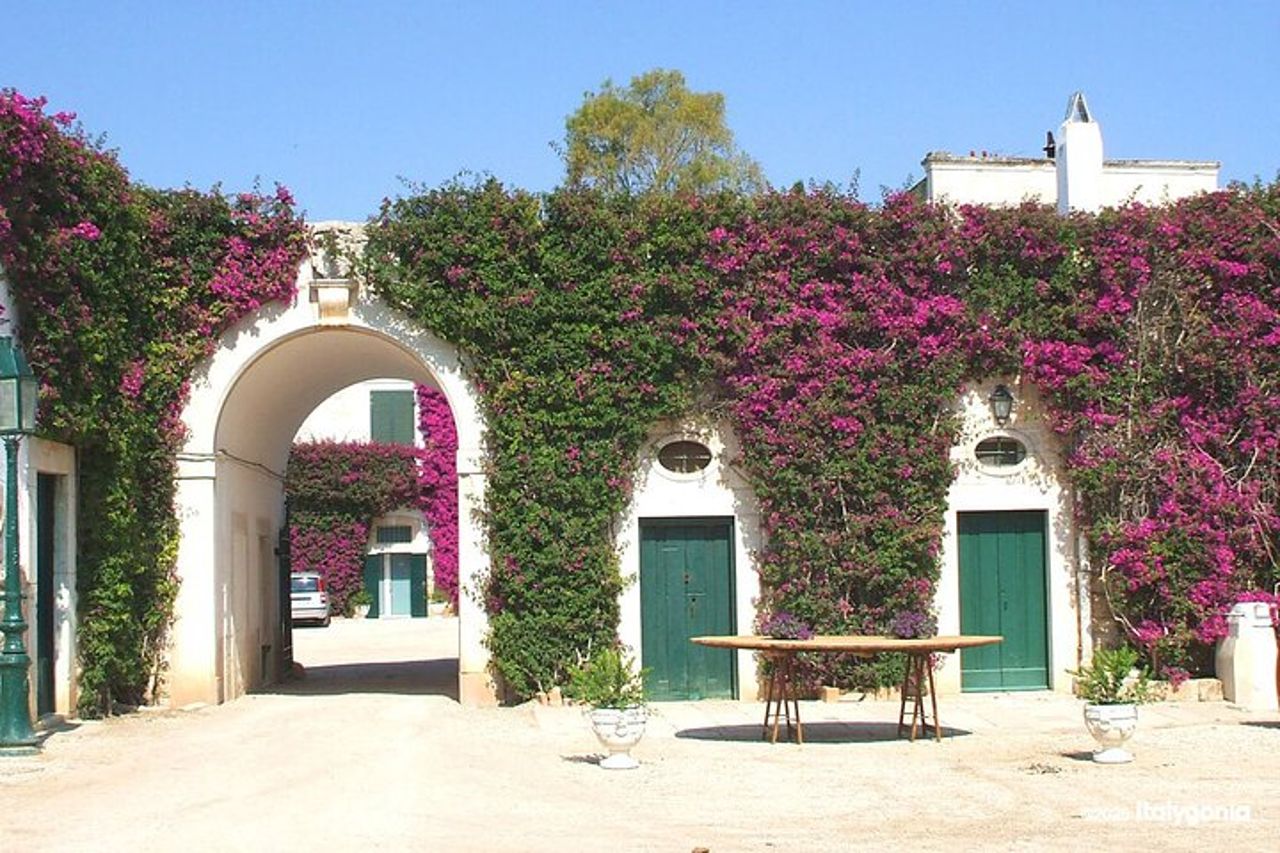 TRANI Wine Tours : Sapori di Puglia — 2