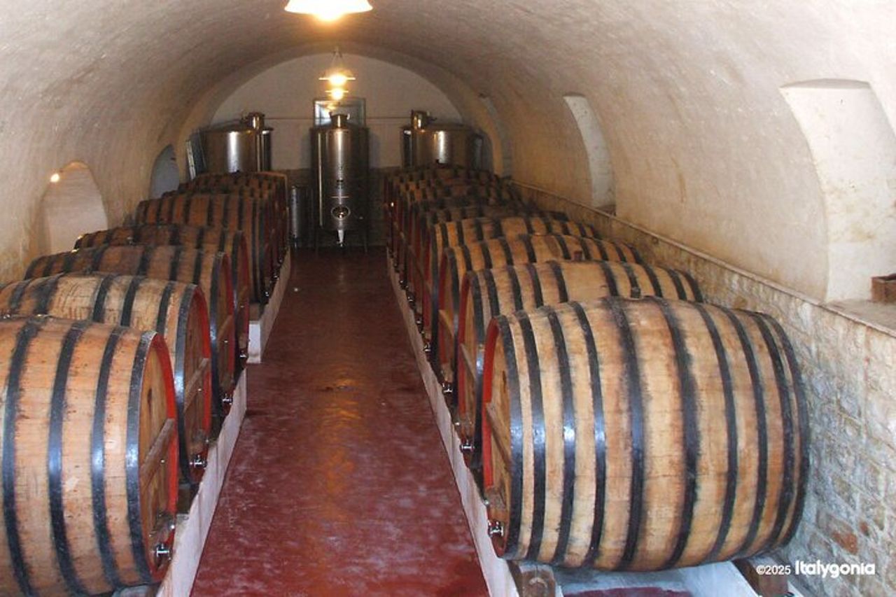 TRANI Wine Tours : Sapori di Puglia — 8