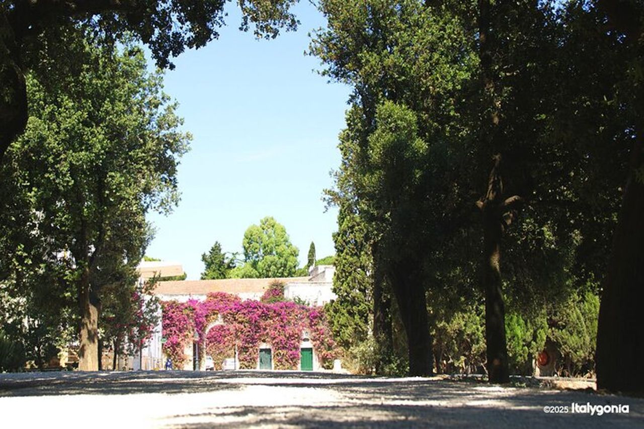 TRANI Wine Tours : Sapori di Puglia — 9