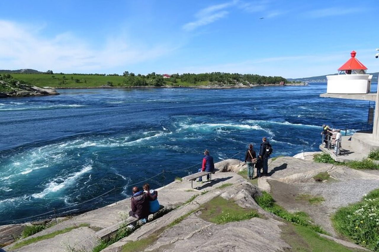 Tour magico di Saltstraumen — 5