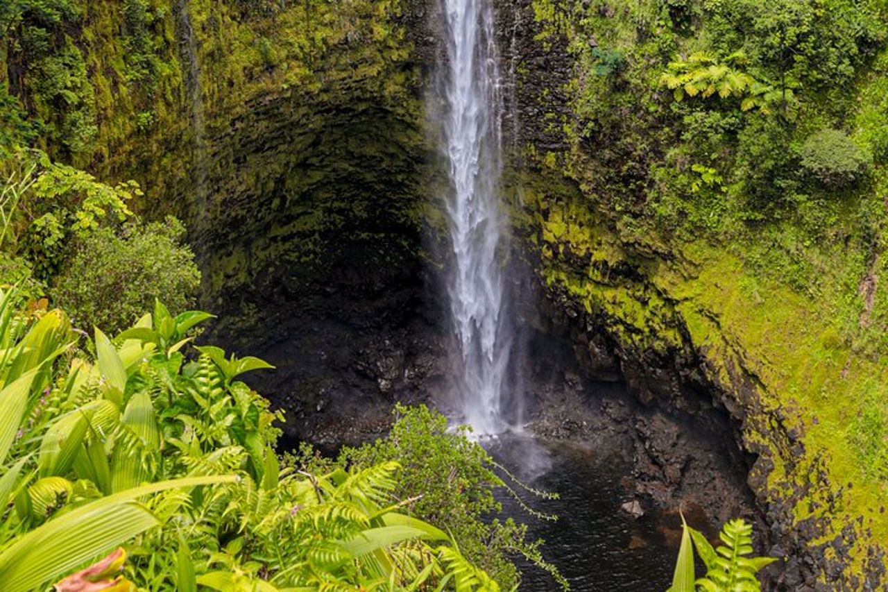 Hilo Excursion Vulcani e Cascate di Akaka — 7