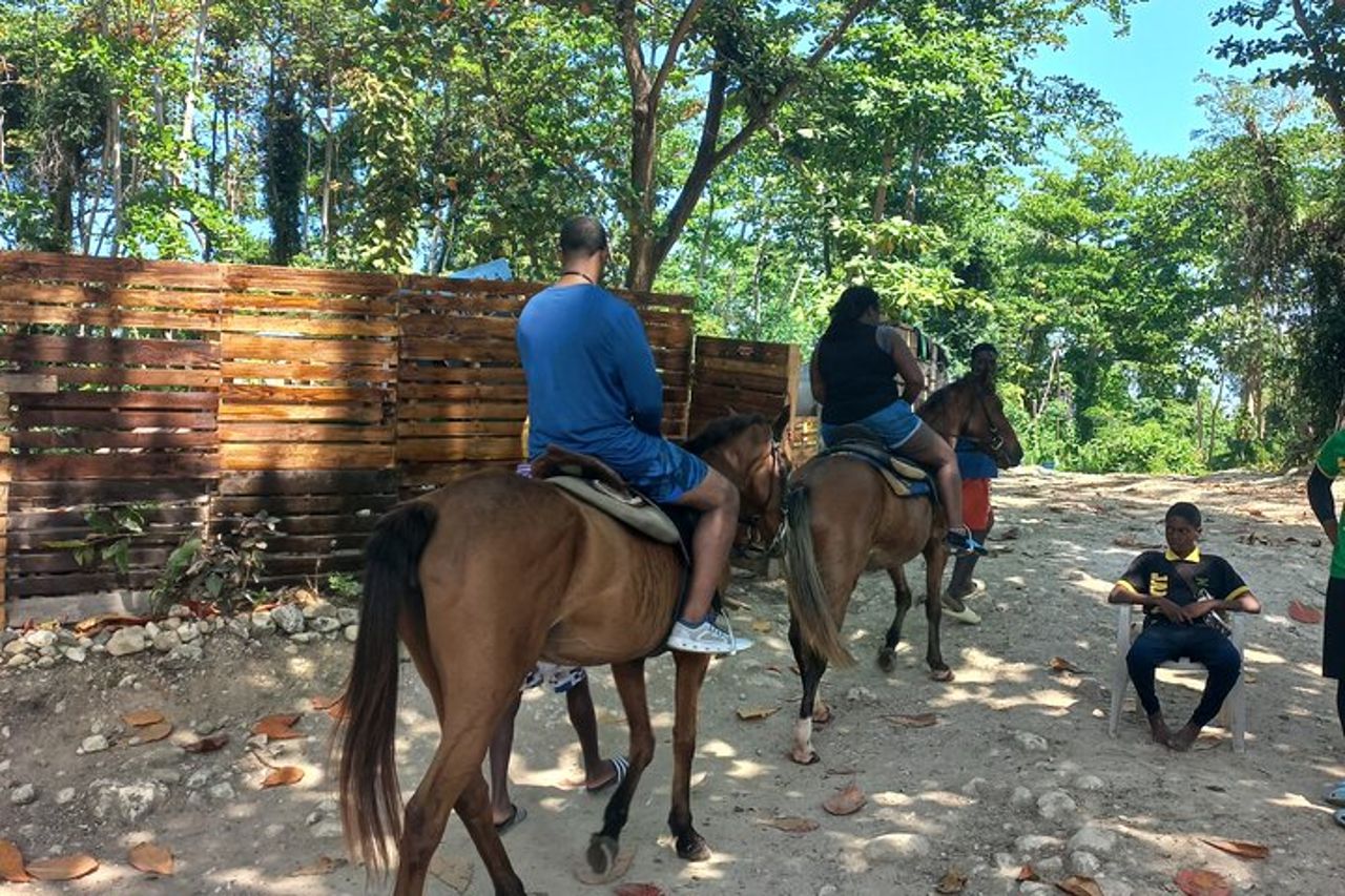 Equitazione a Ocho Rios — 5