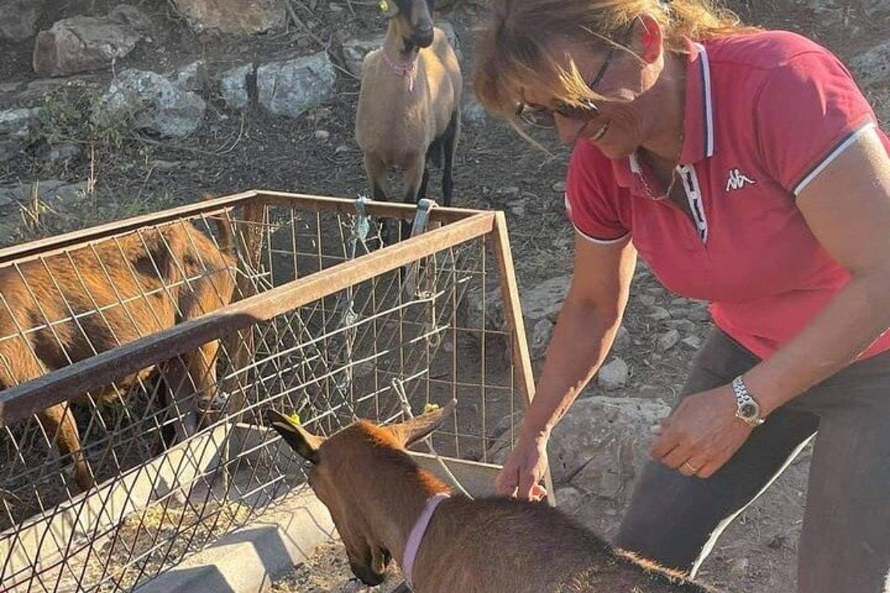 Esperienza di mungitura e produzione di formaggi di capra di Sifnos — 6