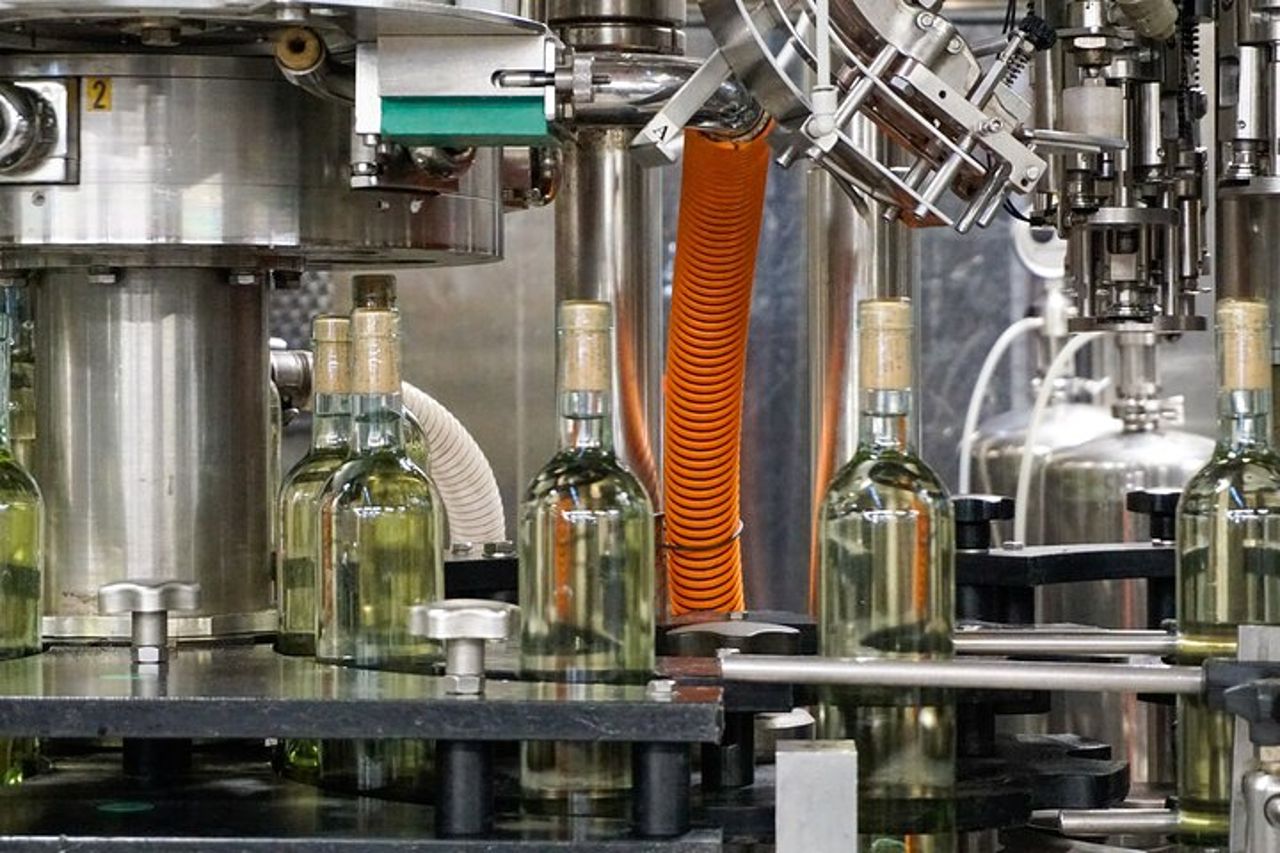 Dal Grappolo al Calice: Viaggio nel Cuore del Vino a Bardolino — 8