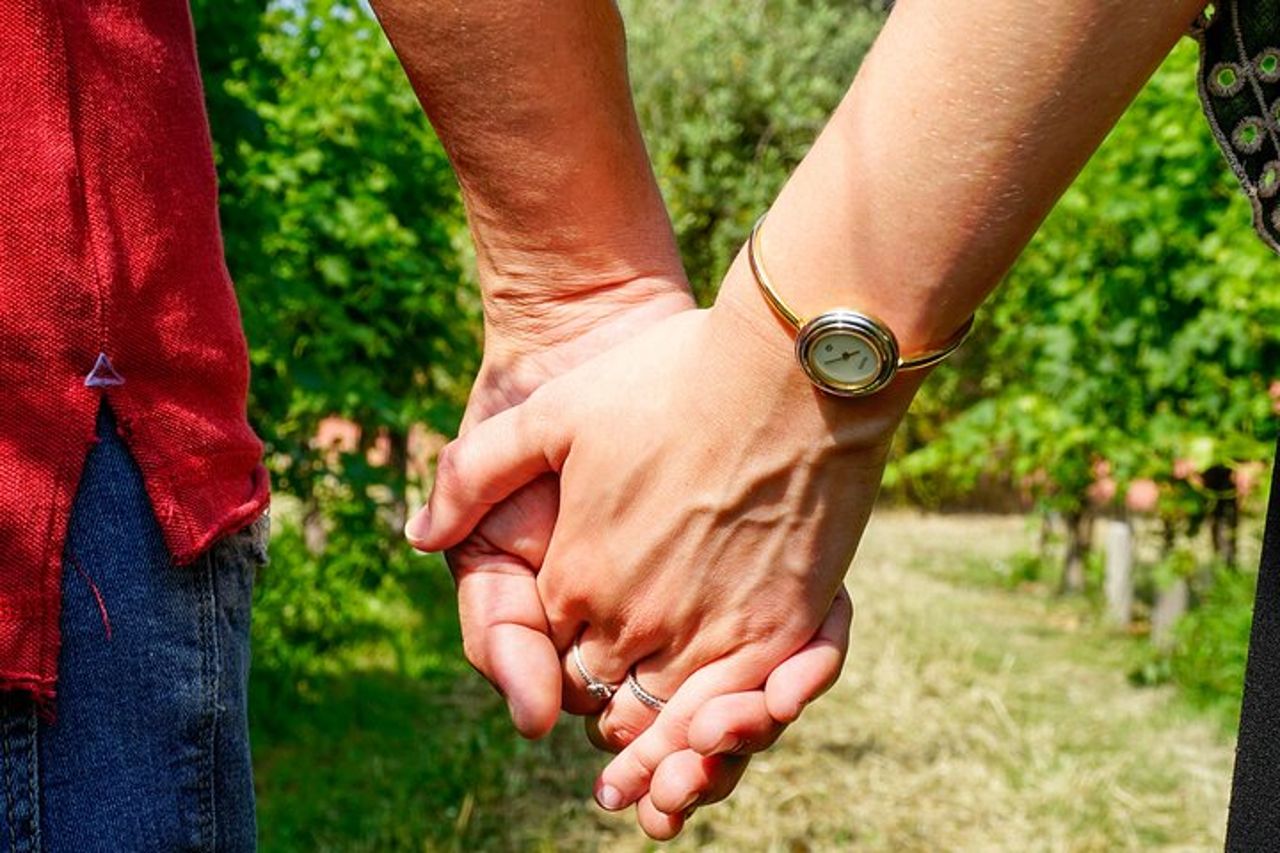 Dal Grappolo al Calice: Viaggio nel Cuore del Vino a Bardolino — 7