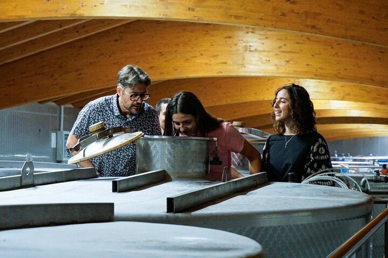 Dal Grappolo al Calice: Viaggio nel Cuore del Vino a Bardolino — 3