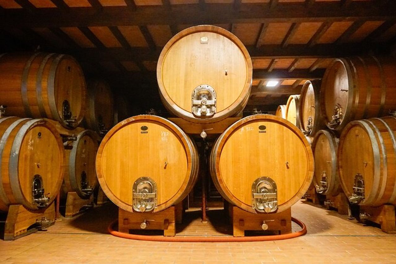 Dal Grappolo al Calice: Viaggio nel Cuore del Vino a Bardolino — 4
