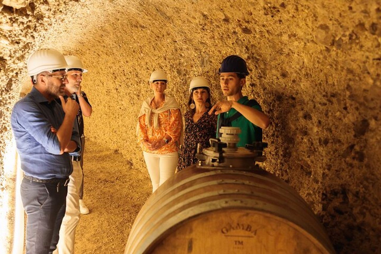 GroMonte: Grotta, Vino e Storia a Montefiore dell'Aso