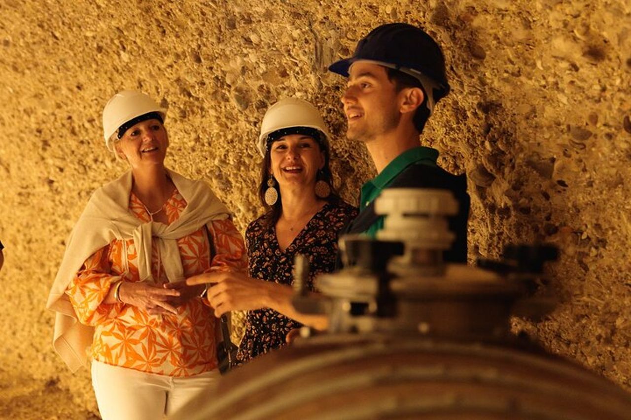 GroMonte: Grotta, Vino e Storia a Montefiore dell'Aso — 2