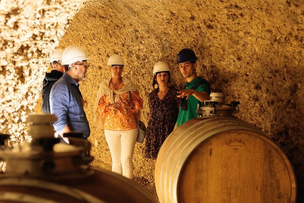 GroMonte: Grotta, Vino e Storia a Montefiore dell'Aso — 3