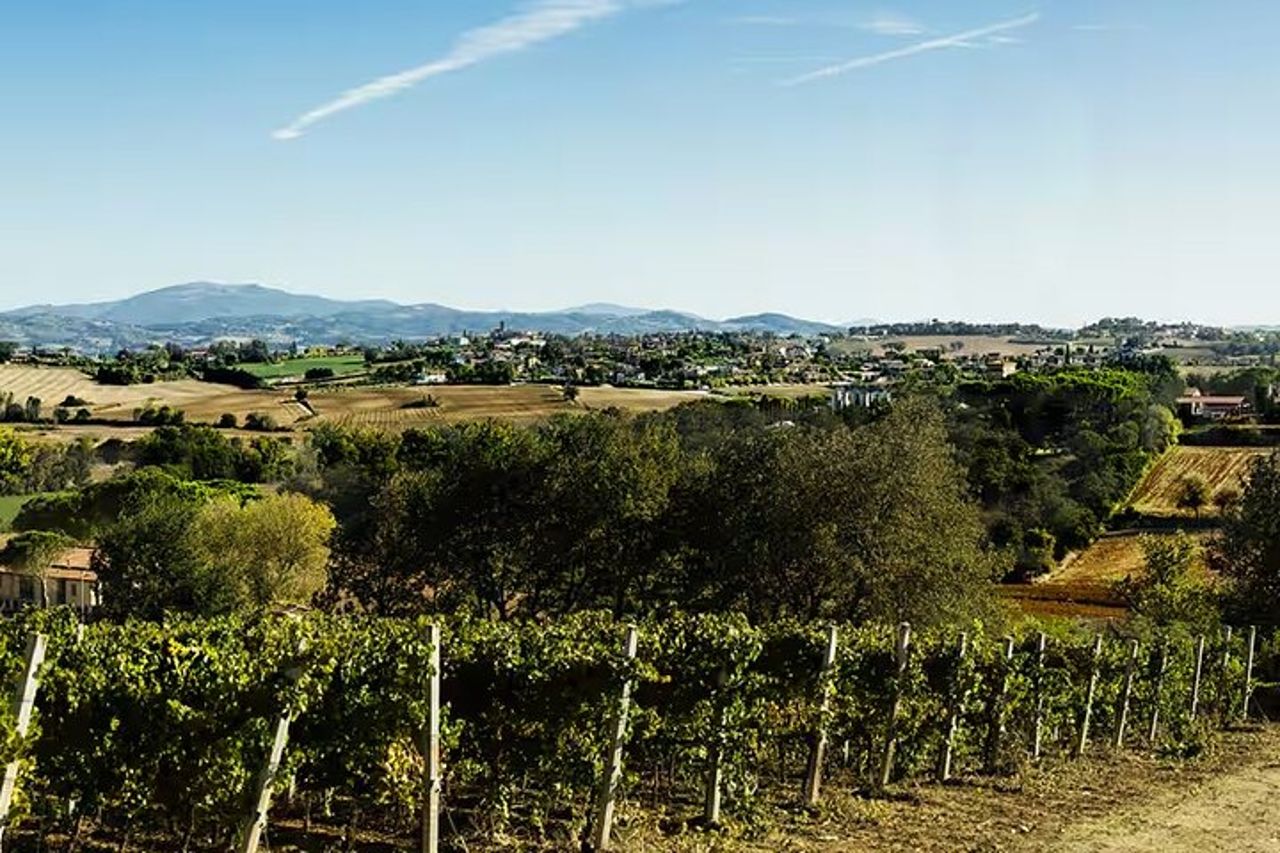 Umbria: Wine Tasting Tour con abbinamenti regionali vicino Perugia — 4