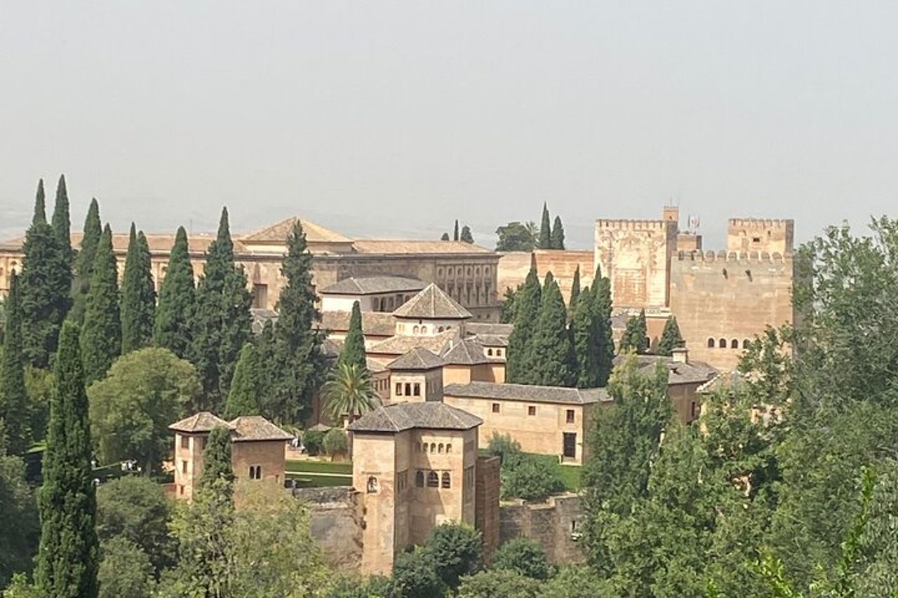 Escursione privata all'Alhambra di Granada dal porto di Almeria — 4