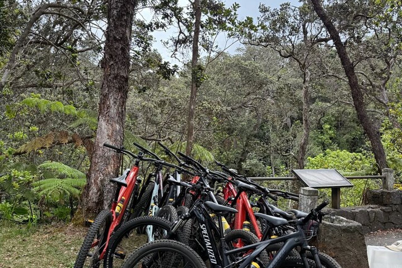 Tour del Parco Nazionale dei Vulcani E Bike — 9