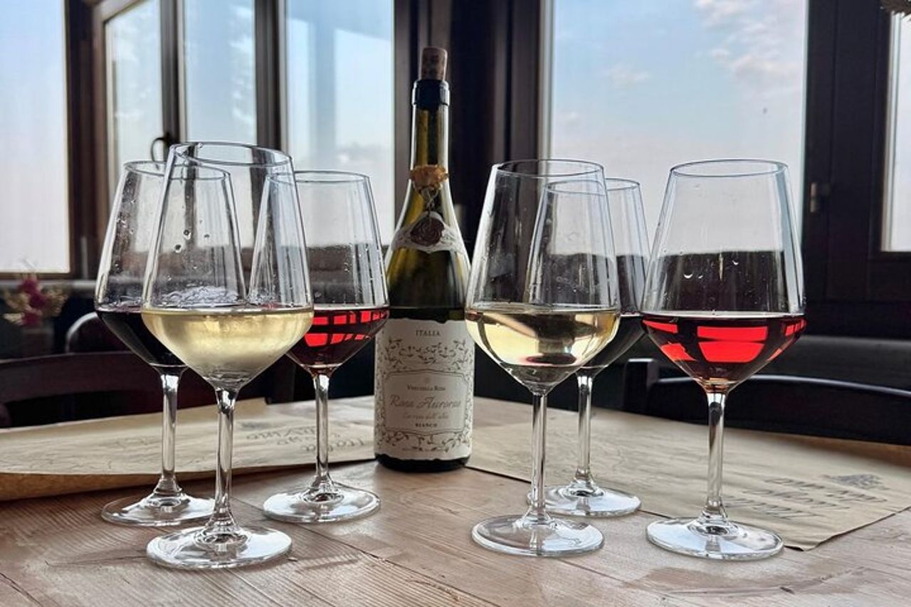 Tour e degustazione in cantina in Abruzzo — 2