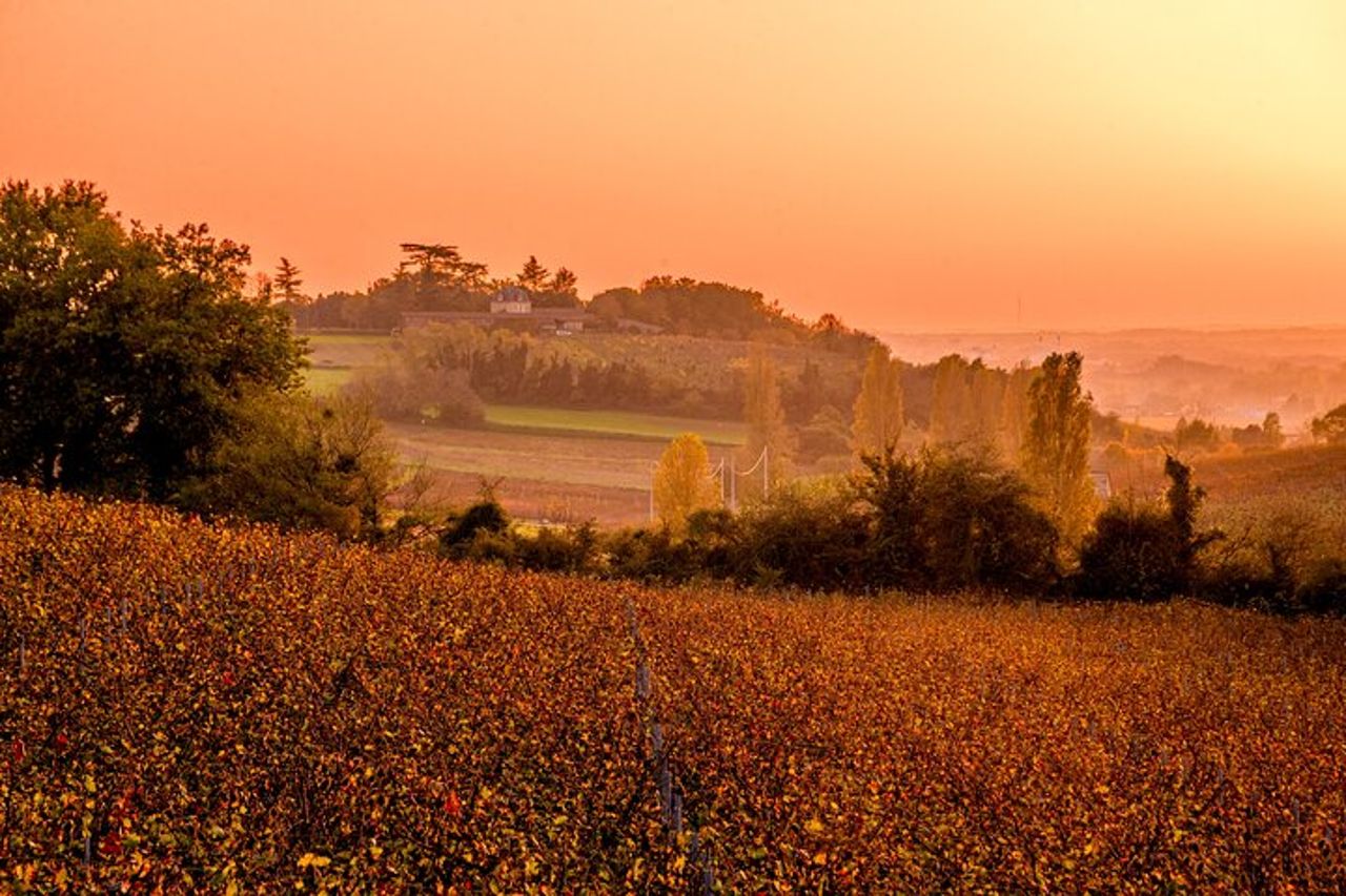 Degustazione di vini a Fronsac Scopri Bordeaux gemma nascosta — 3