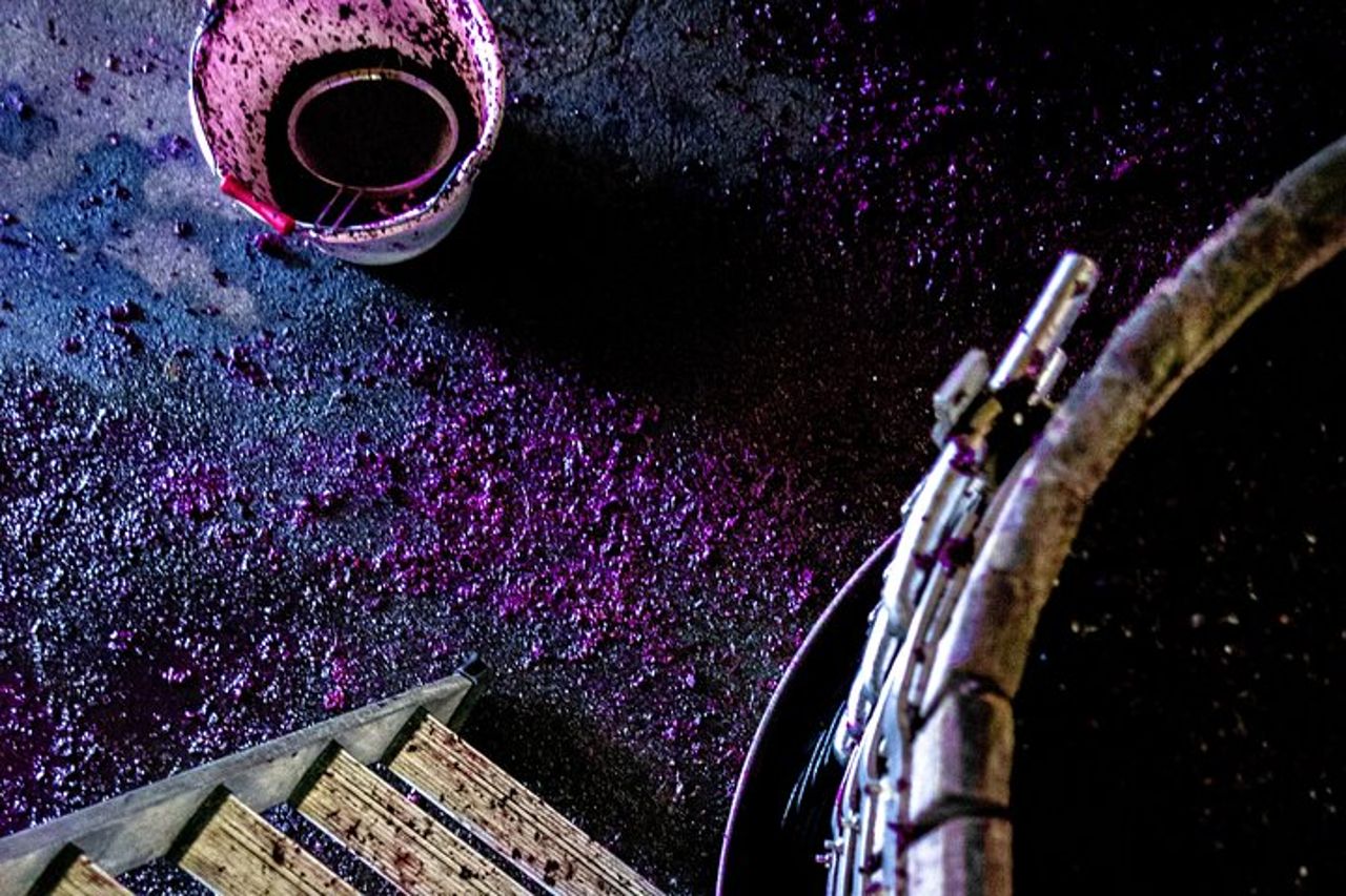Degustazione di vini a Fronsac Scopri Bordeaux gemma nascosta — 4