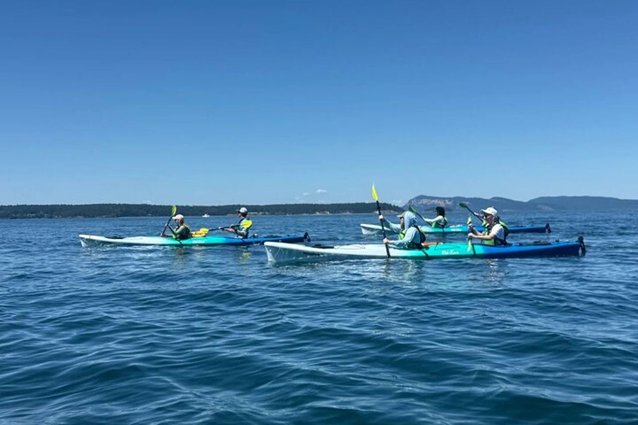 Tour in kayak costiero di Rosario sull'isola delle Orche — 4