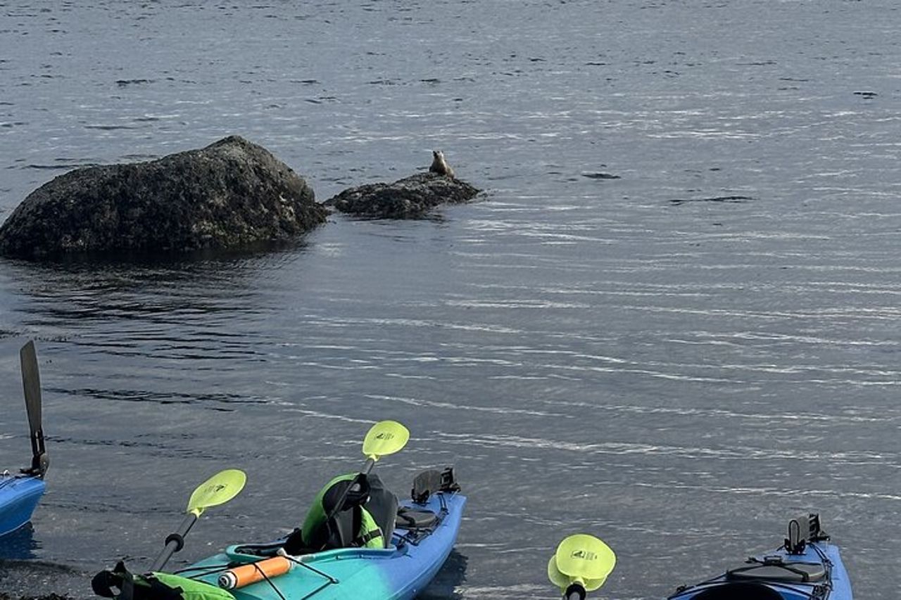 Tour in kayak costiero di Rosario sull'isola delle Orche — 5