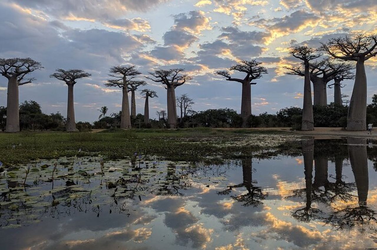 Tour di 12 giorni: Morondava, Tsiribihina, Tsingy e Baobab — 2