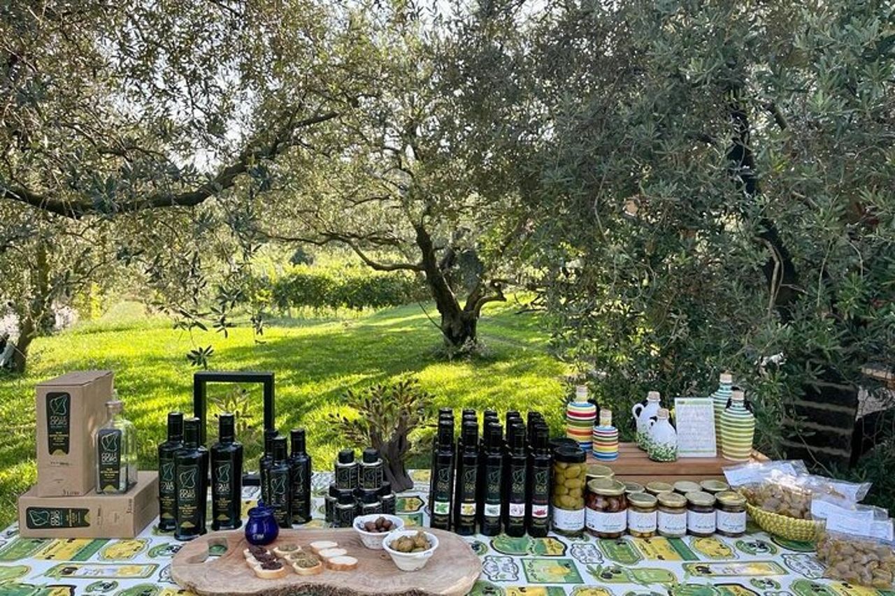 Tour dell'olio d'oliva del Lago di Garda e degustazione con vista panoramica — 9