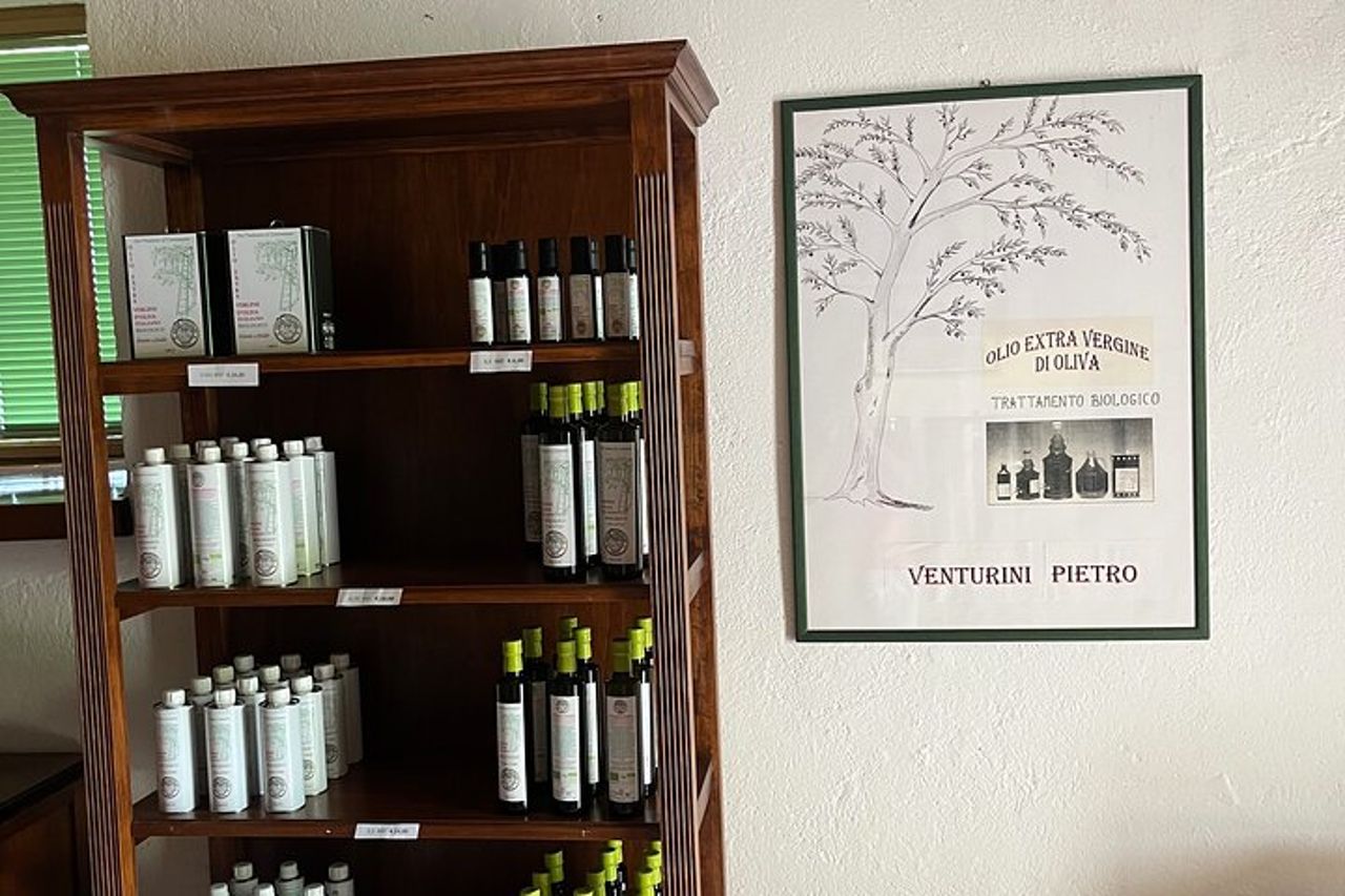 Visita oliveti e frantoio con degustazione olio a Trevi in Umbria — 3