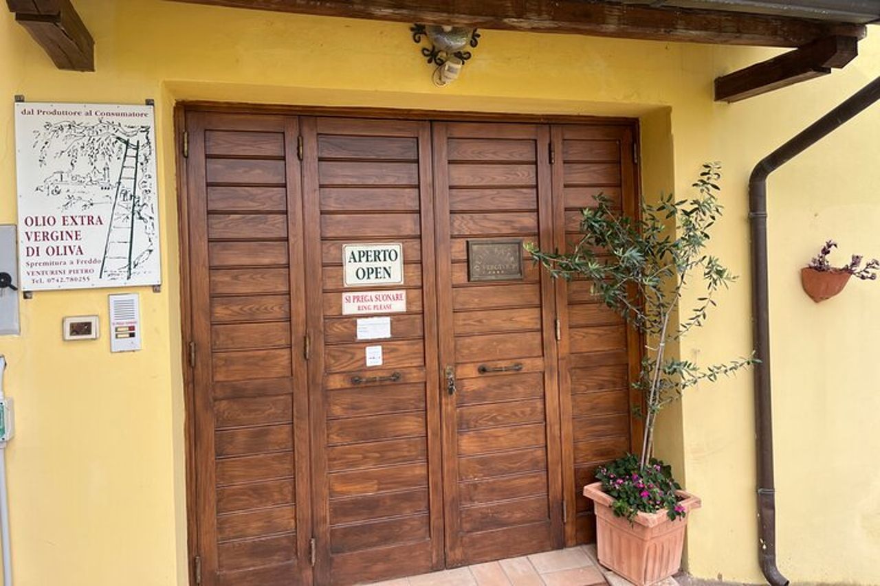 Visita oliveti e frantoio con degustazione olio a Trevi in Umbria — 4