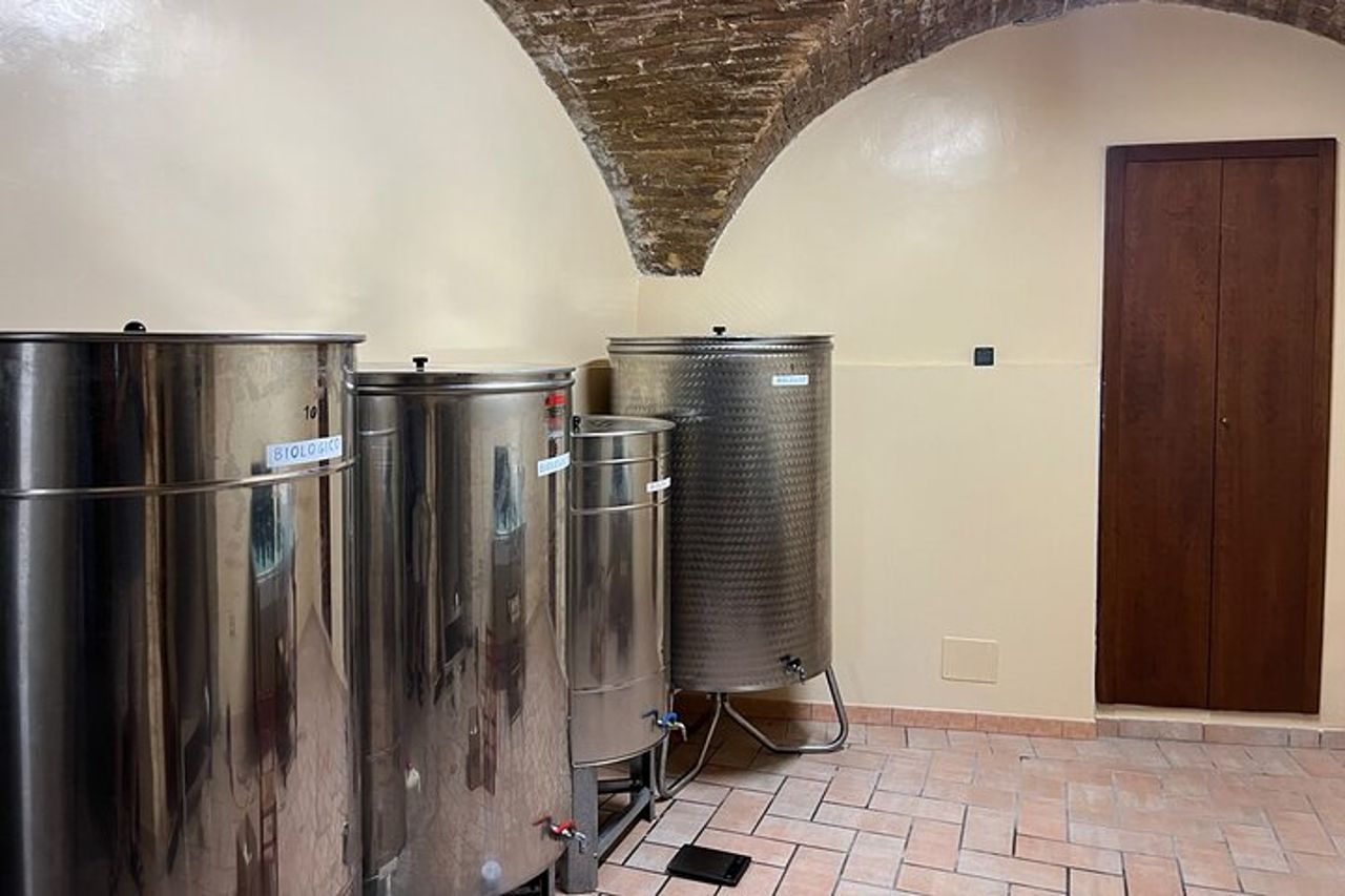 Visita oliveti e frantoio con degustazione olio a Trevi in Umbria — 5