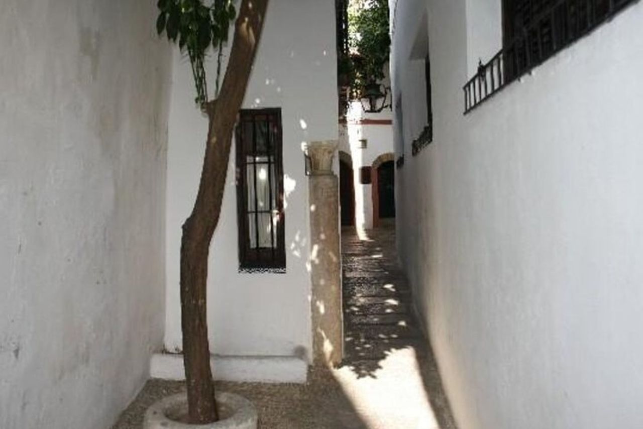 Escursione di un giorno a Cordova: un viaggio nella storia da Malaga — 7