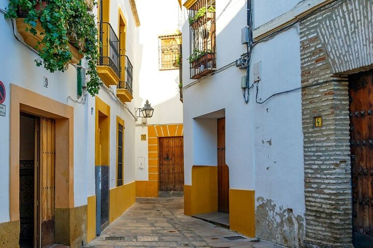 Escursione di un giorno a Cordova: un viaggio nella storia da Malaga — 9