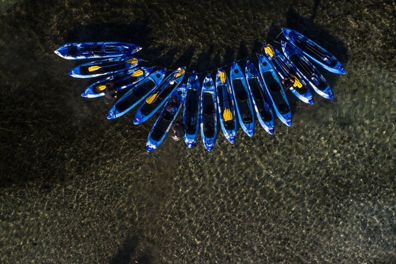 Bioluminescent Bay Kayak Adventure da San Juan — 3