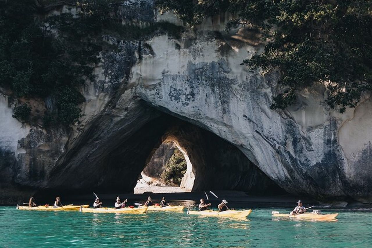 Tour in kayak nella baia della cattedrale — 4