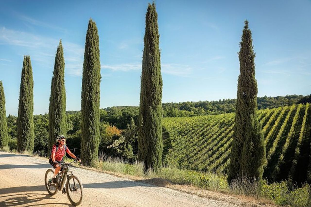 Noleggio E-Bike nelle Colline Toscane da Castellina in Chianti