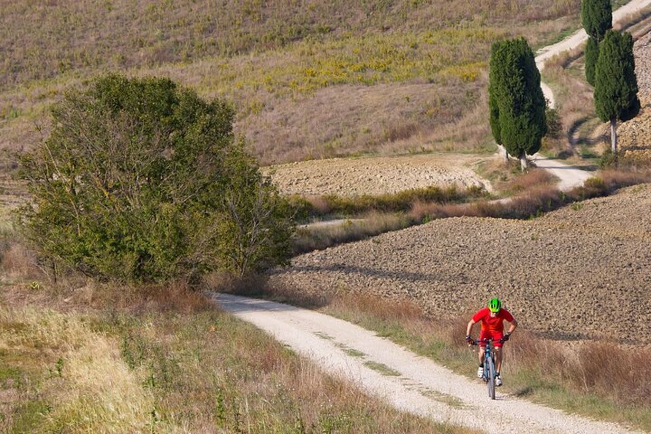 Noleggio E-Bike nelle Colline Toscane da Castellina in Chianti — 5