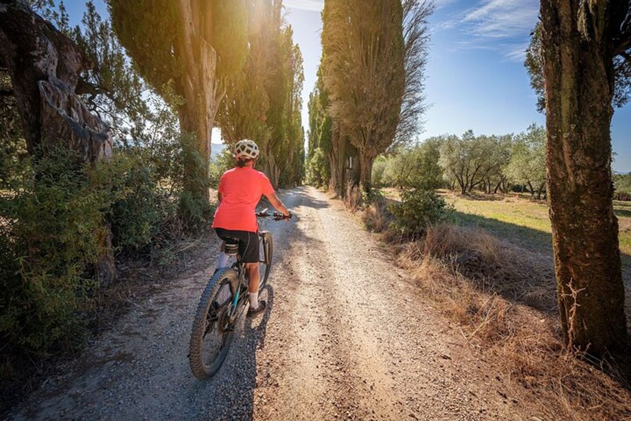 Noleggio E-Bike nelle Colline Toscane da Castellina in Chianti — 7