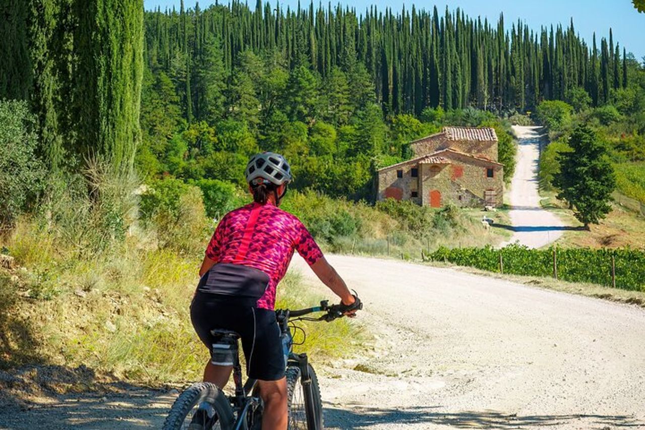 Noleggio E-Bike nelle Colline Toscane da Castellina in Chianti — 8