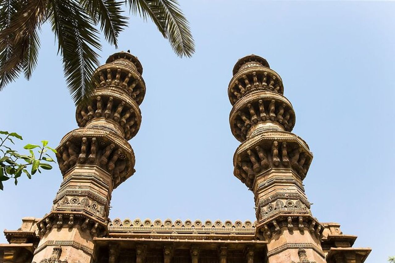 Il meglio del tour del Gujarat — 8