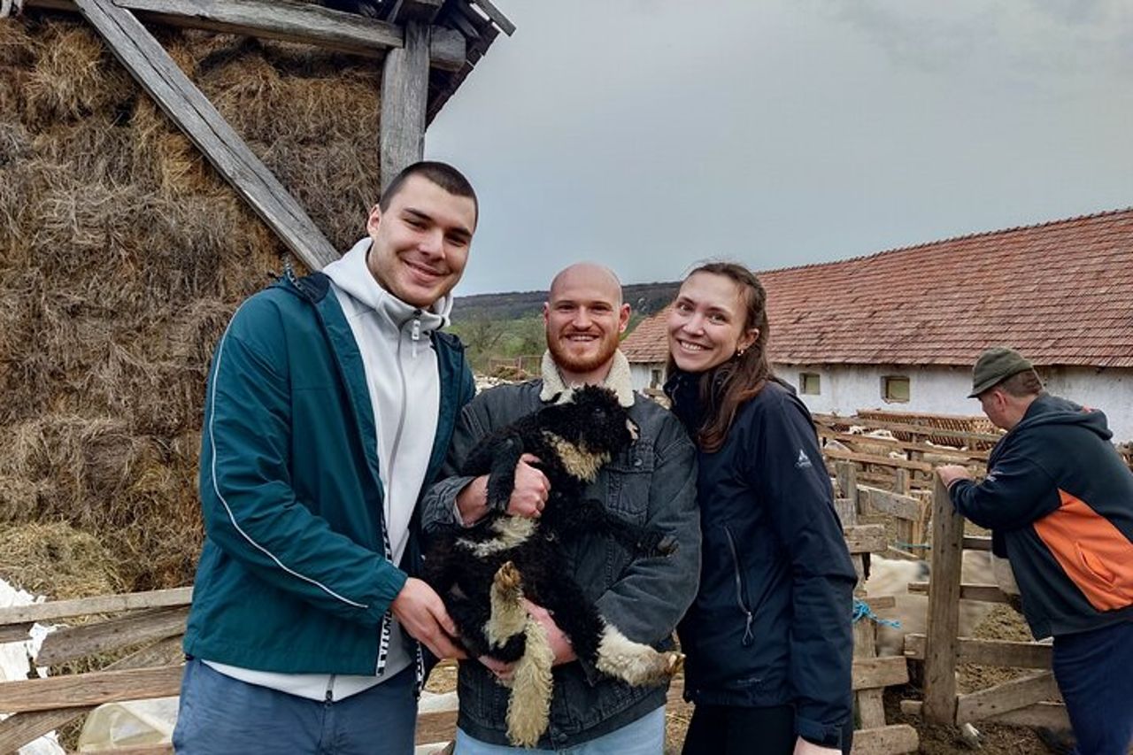 Sibiu > Chiese fortificate, vita contadina e tour in carrozza