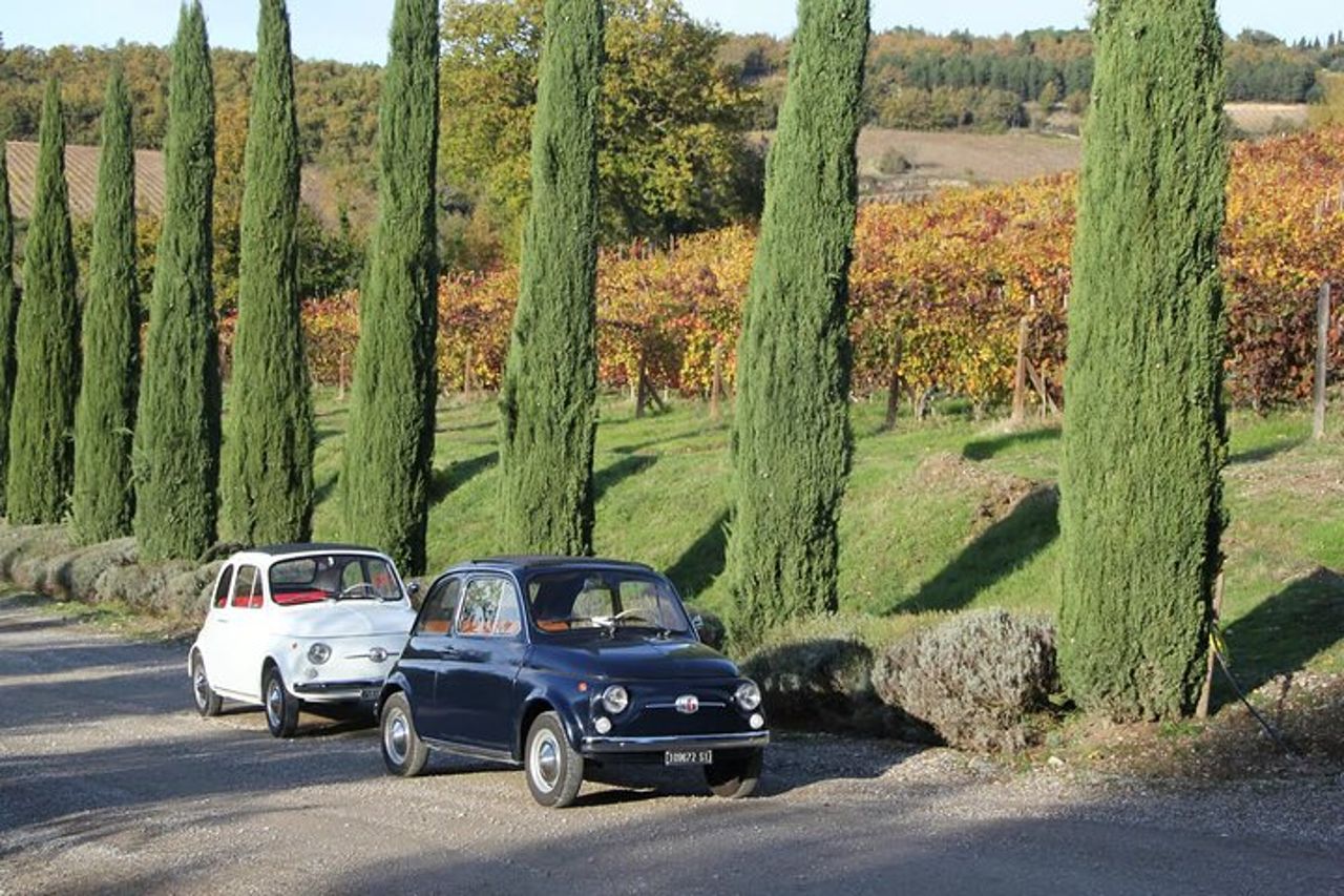 Tour autonomo giornaliero della Fiat 500 d'epoca da Castellina in Chianti — 4