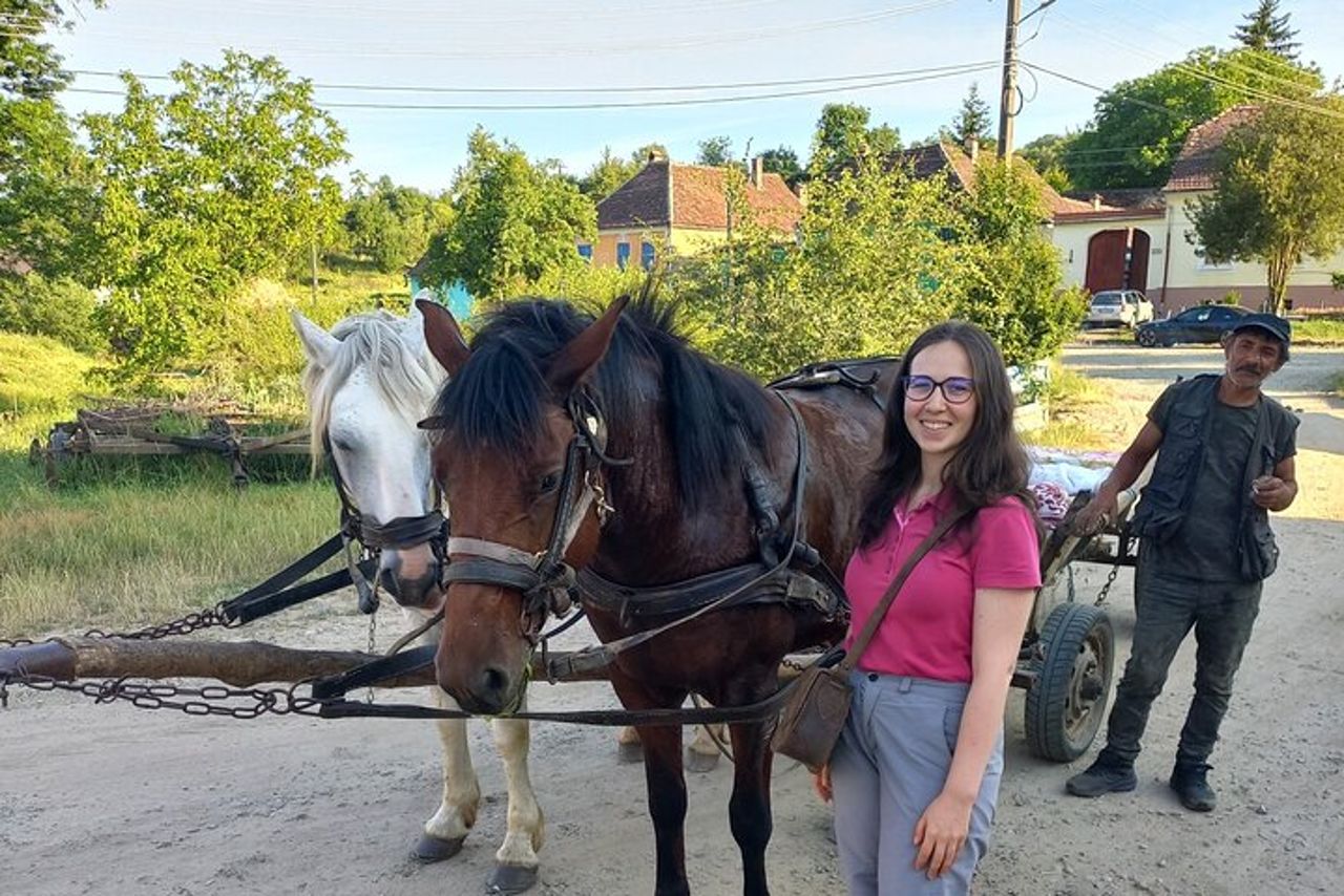 Sibiu > Artigianato del villaggio, Biertan e Sighișoara Gita di un giorno