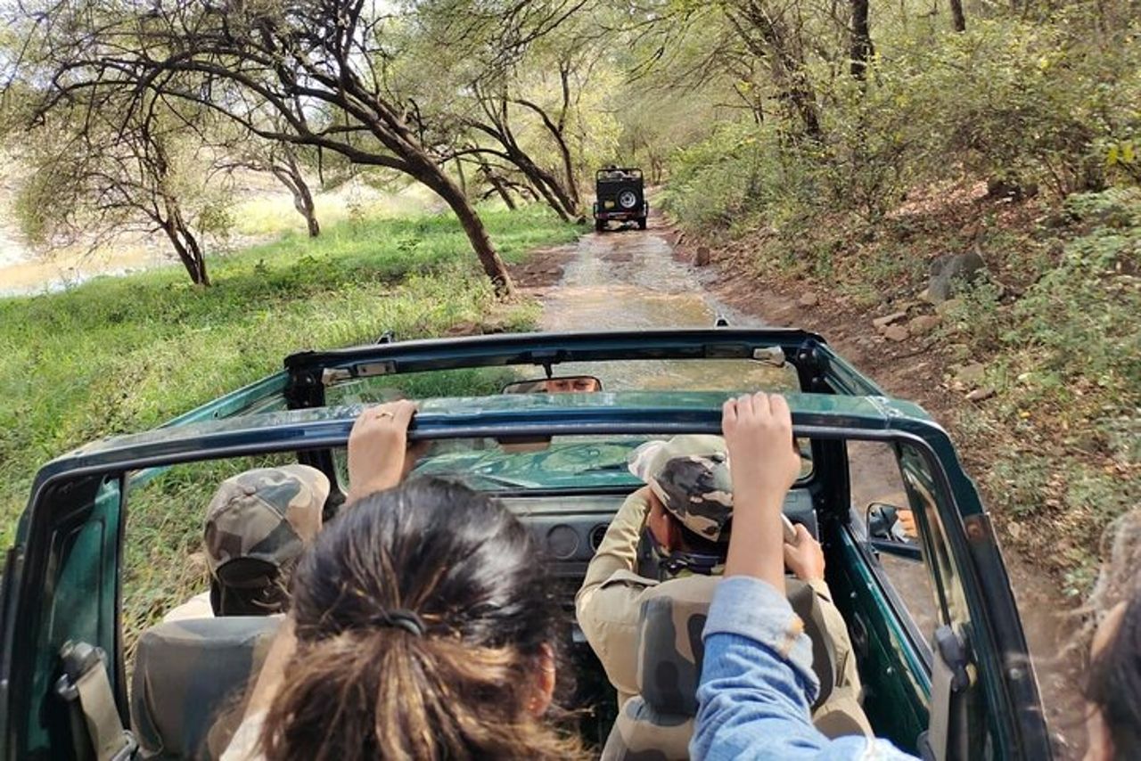 Ranthambore - Condivisione Tiger Safari In Canter 20 posti Veicolo — 3
