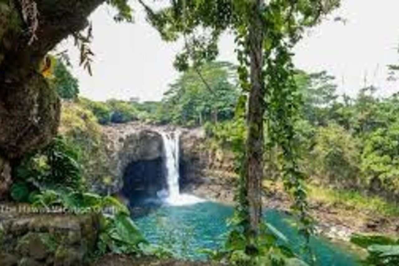 Dal tour condiviso dei vulcani e delle cascate della Big Island Kona — 7