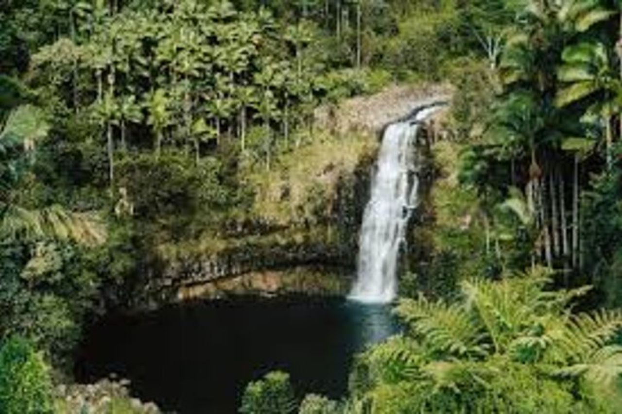 Dal tour condiviso dei vulcani e delle cascate della Big Island Kona — 8