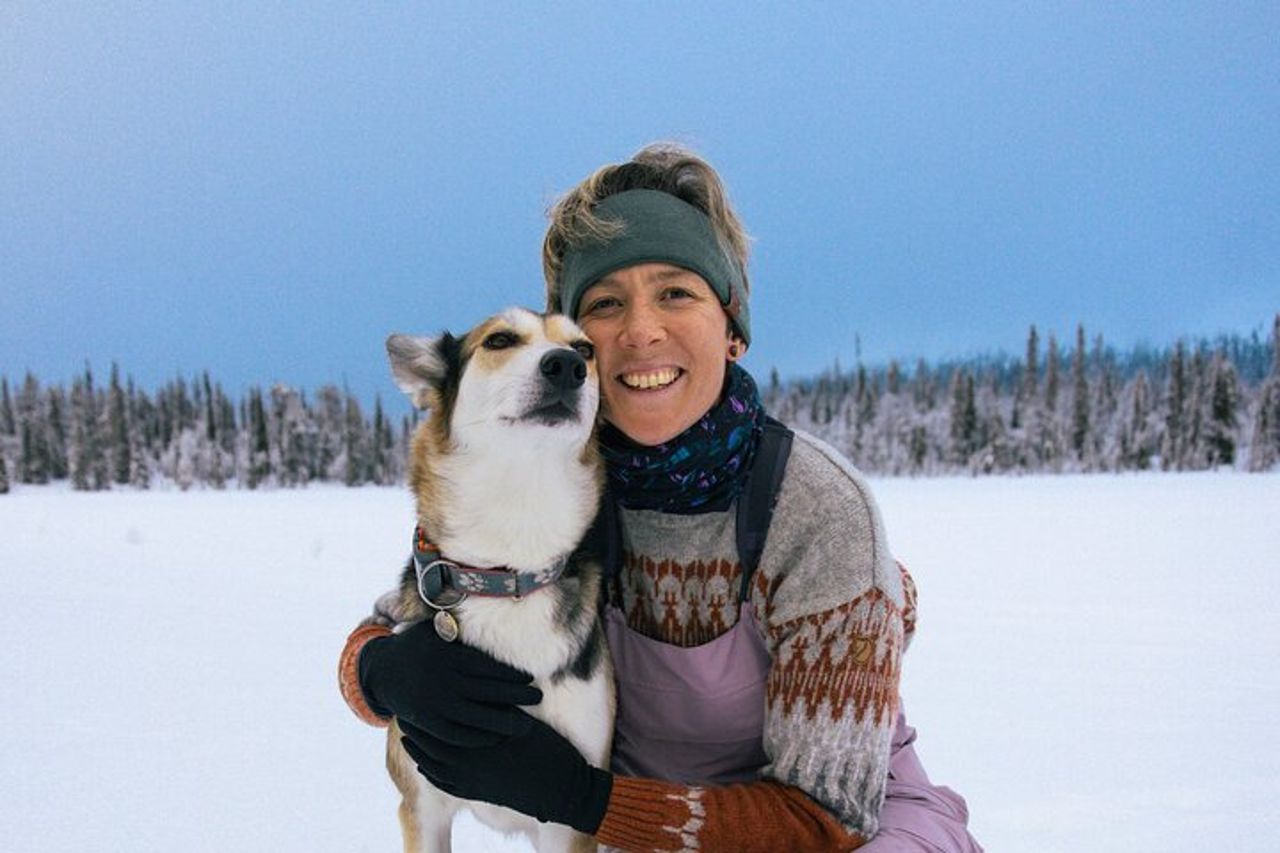 Esplora i sentieri artici della Lapponia, 1 : 1 con il tuo Alaskan Husky — 3