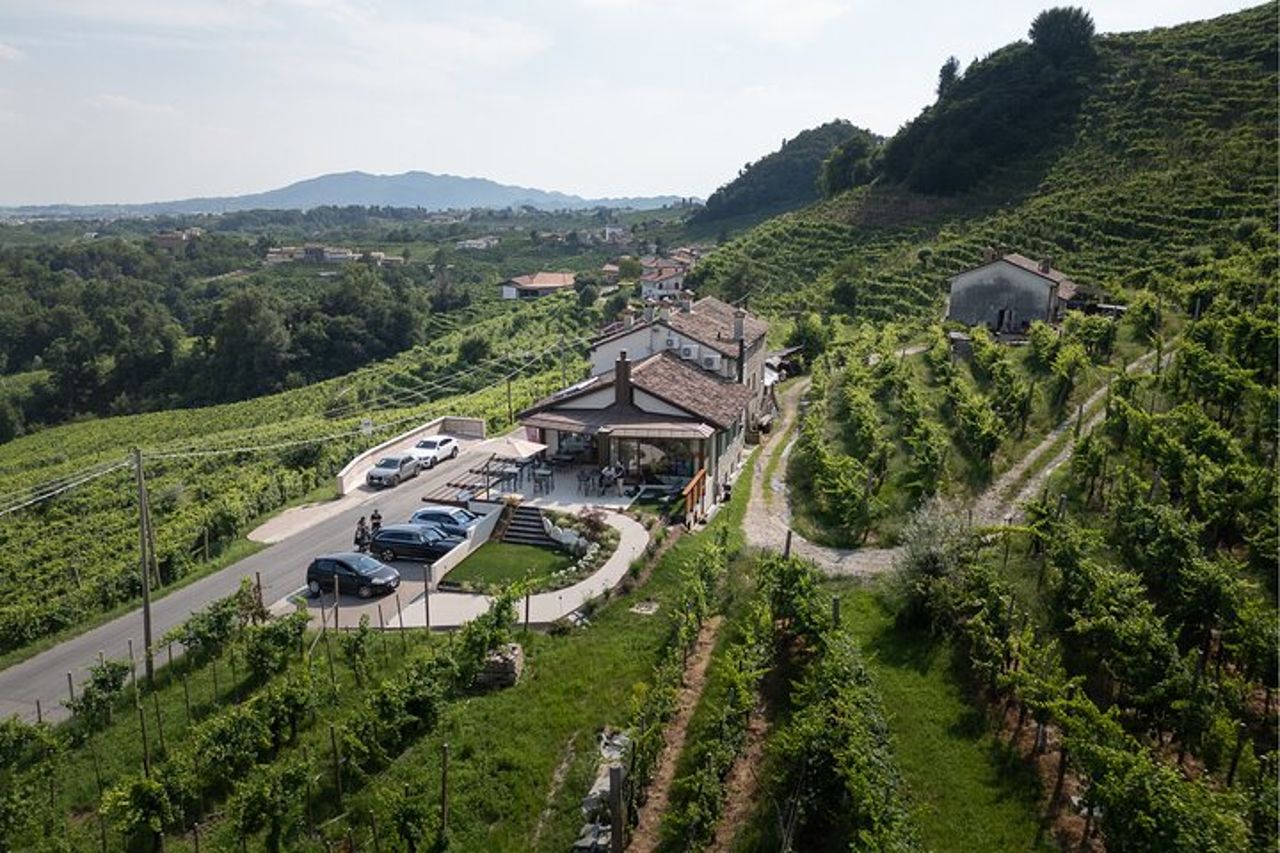 Tour Privato con Degustazione di Prosecco DOCG — 4