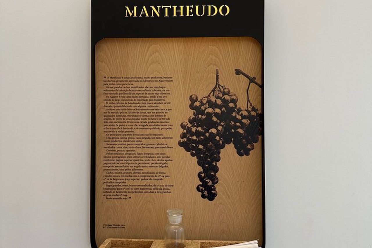 Tour Privato a Évora da Lisbona — 9