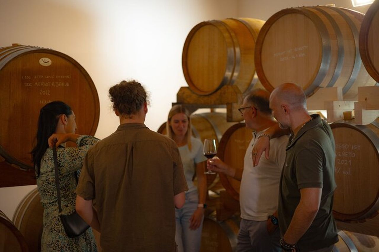 Da Abano e Montegrotto: Wine Tour sui Colli Euganei — 6